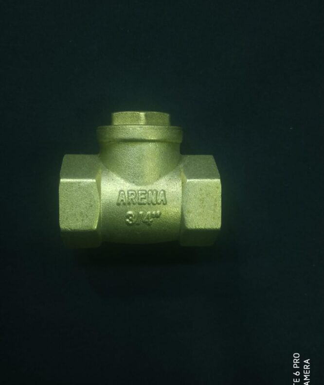 ARENA VALVES CHECK VALVE HEAVY DUTY 3/4" NON RETURN VALVE