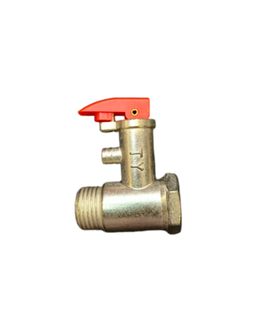 Geyser Valve NRV