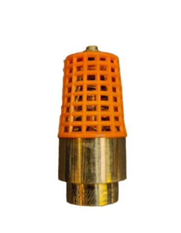 brass foot valve