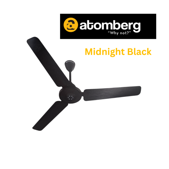 BLDC Ceiling Fan