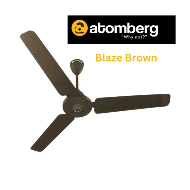 BLDC Ceiling Fan