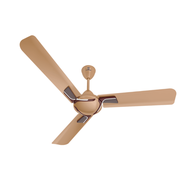 Ceiling Fan